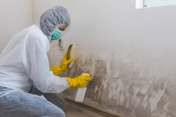 Water Damage Restoration in Glenville, CT