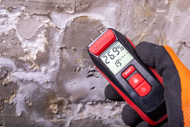 Best Mold Remediation Services  in Glenville, CT