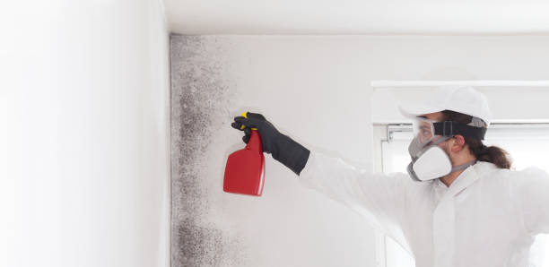 Crawl Space Mold Removal in Glenville, CT