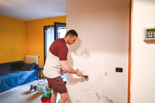 Best Local Mold Removal Service  in Glenville, CT